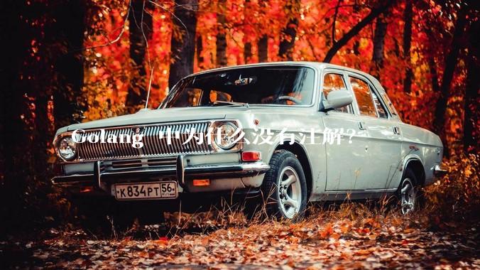 Golang 中为什么没有注解？