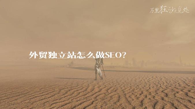 外贸独立站怎么做SEO？