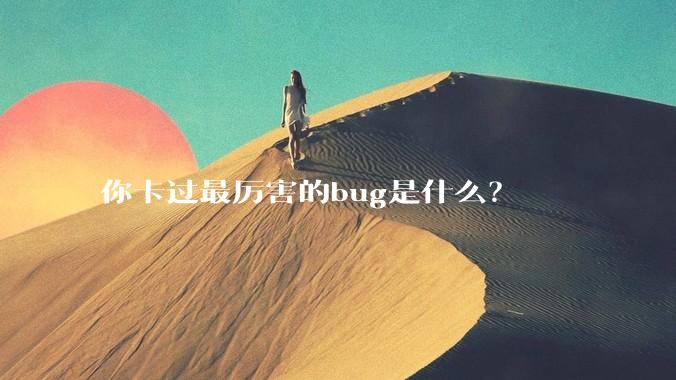 你卡过最厉害的bug是什么？