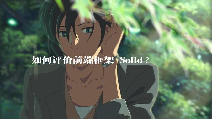 如何评价前端框架 Solid?