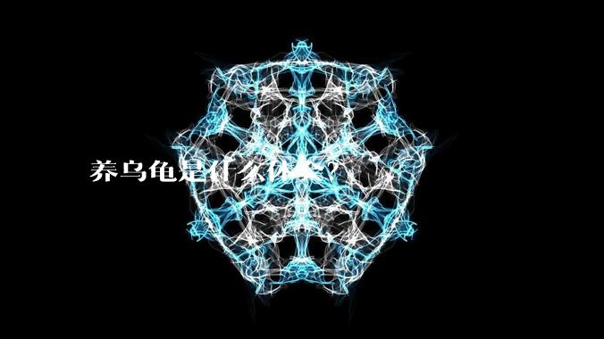 养乌龟是什么体会？