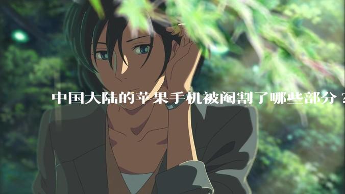 中国大陆的苹果手机被阉割了哪些部分?