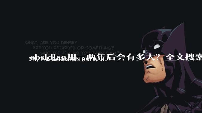 obsidian用一两年后会有多大？全文搜索还快吗？