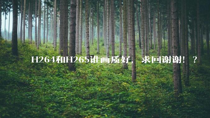 H264和H265谁画质好，求回谢谢！？