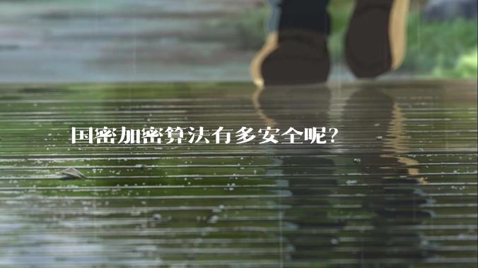 国密加密算法有多安全呢？