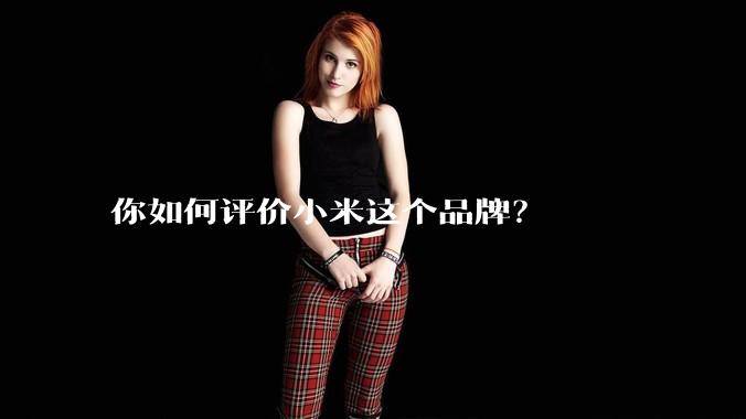 你如何评价小米这个品牌？