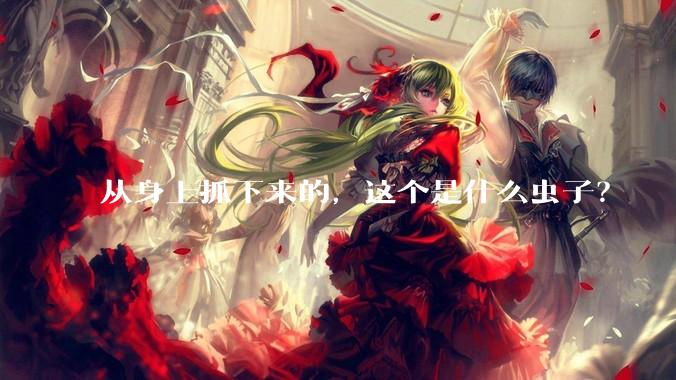 从身上抓下来的，这个是什么虫子？