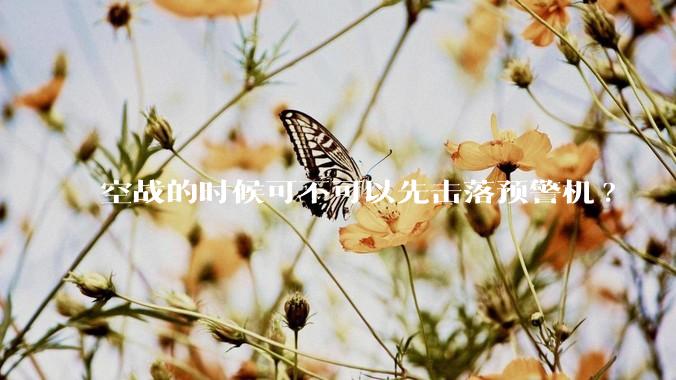 空战的时候可不可以先击落预警机?