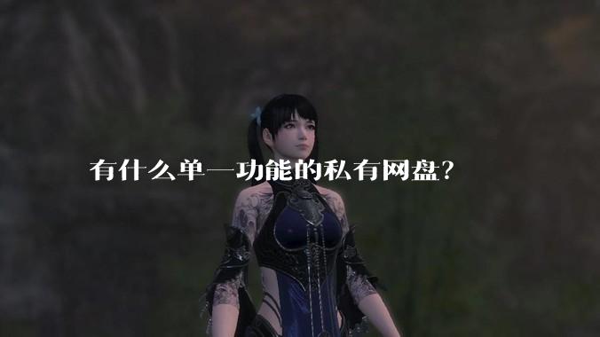 有什么单一功能的私有网盘？