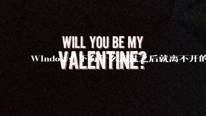 Windows 下有什么用过之后就离不开的冷门软件？