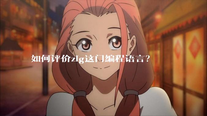 如何评价zig这门编程语言？