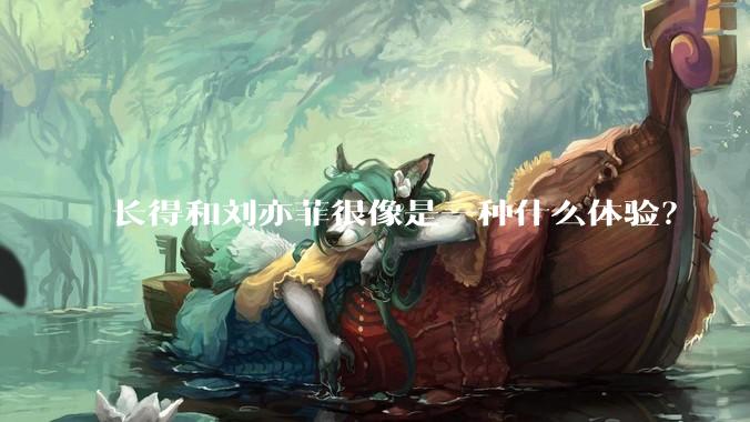 长得和刘亦菲很像是一种什么体验？