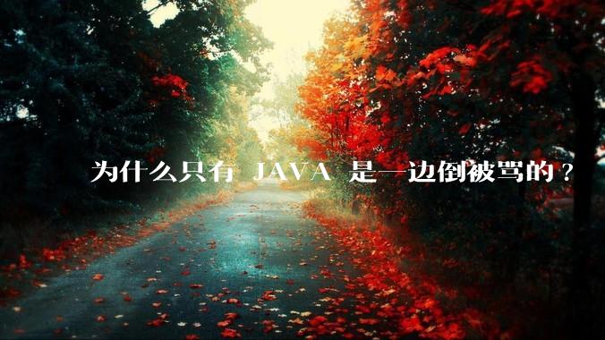 为什么只有 JAVA 是一边倒被骂的?