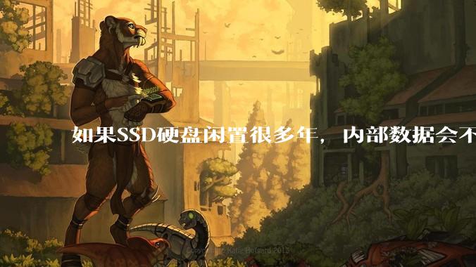 如果SSD硬盘闲置很多年，内部数据会不会丢失？