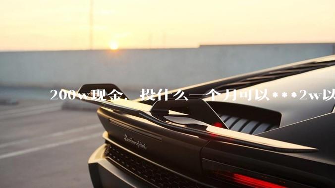 200w现金，投什么一个月可以***2w以上？